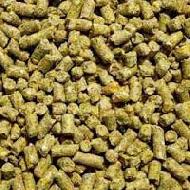Coir Fiber