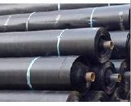 Coir Fiber