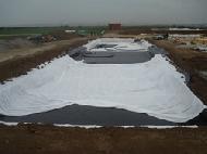 Coir Fiber