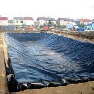 Coir Fiber