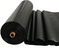 Coir Fiber