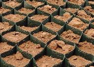 Coir Fiber