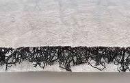 Coir Fiber