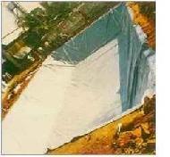 Coir Fiber