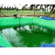 Coir Fiber