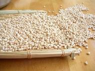 Coir Fiber