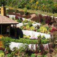 Coir Fiber