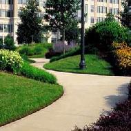 Coir Fiber