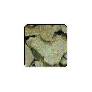 Coir Fiber