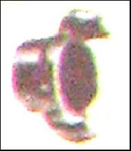 Coir Fiber