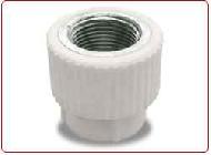 Coir Fiber