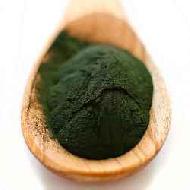 Coir Fiber