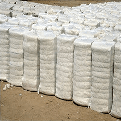 Coir Fiber