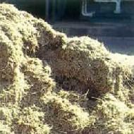 Coir Fiber
