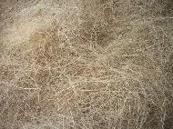 Coir Fiber