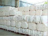 Coir Fiber