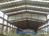 Coir Fiber