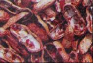 Coir Fiber