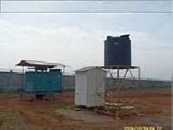 Coir Fiber