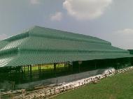 Coir Fiber