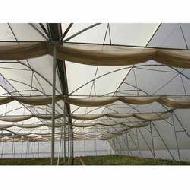 Coir Fiber
