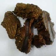 Coir Fiber