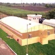 Coir Fiber