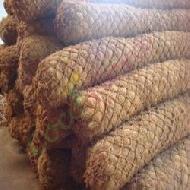 Coir Fiber