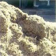 Coir Fiber