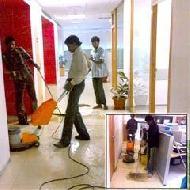 Coir Fiber