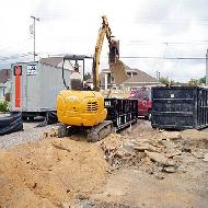 Coir Fiber