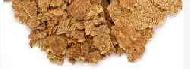 Coir Fiber