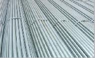 Coir Fiber