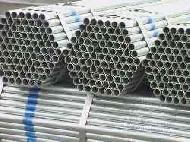 Coir Fiber