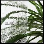 Coir Fiber