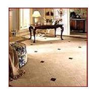 Coir Fiber