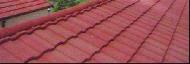 Coir Fiber