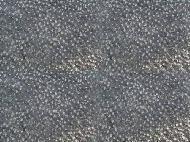 Coir Fiber