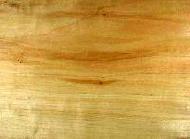 Coir Fiber