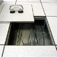 Coir Fiber