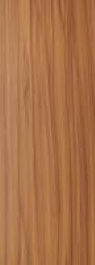 Coir Fiber