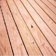 Coir Fiber