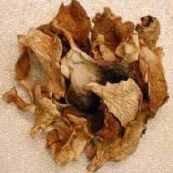 Coir Fiber