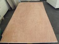 Coir Fiber