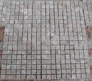 Coir Fiber