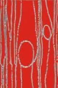 Coir Fiber