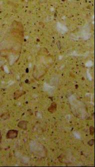 Coir Fiber