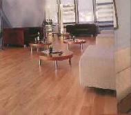 Coir Fiber