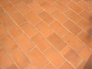 Coir Fiber