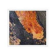 Coir Fiber
